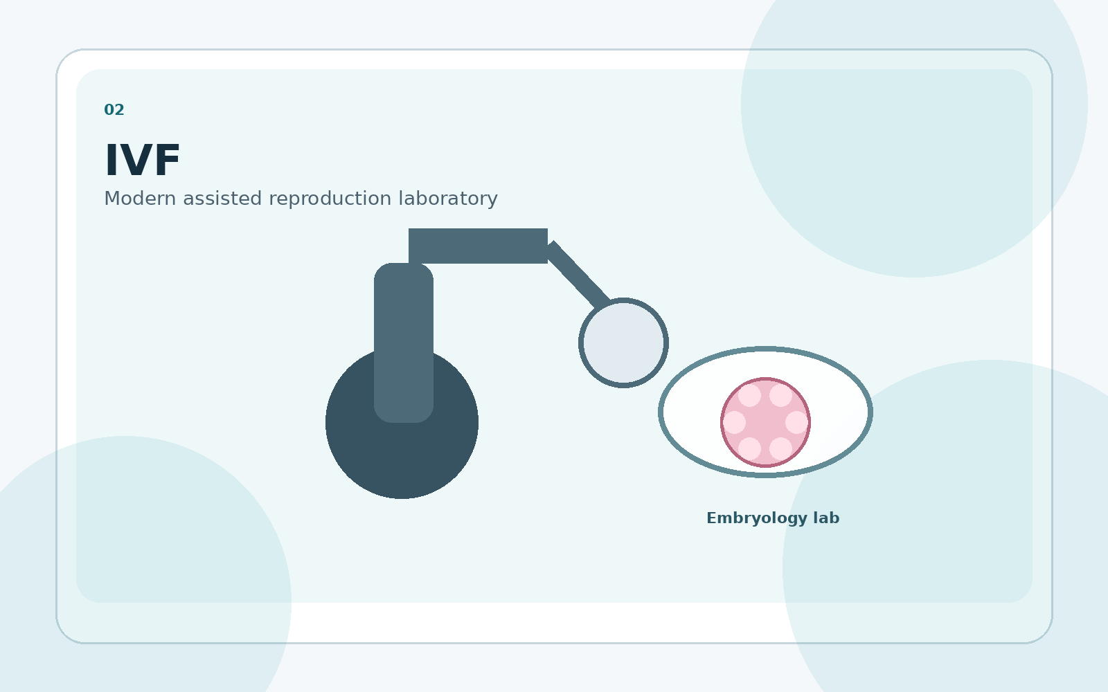 IVF treatment